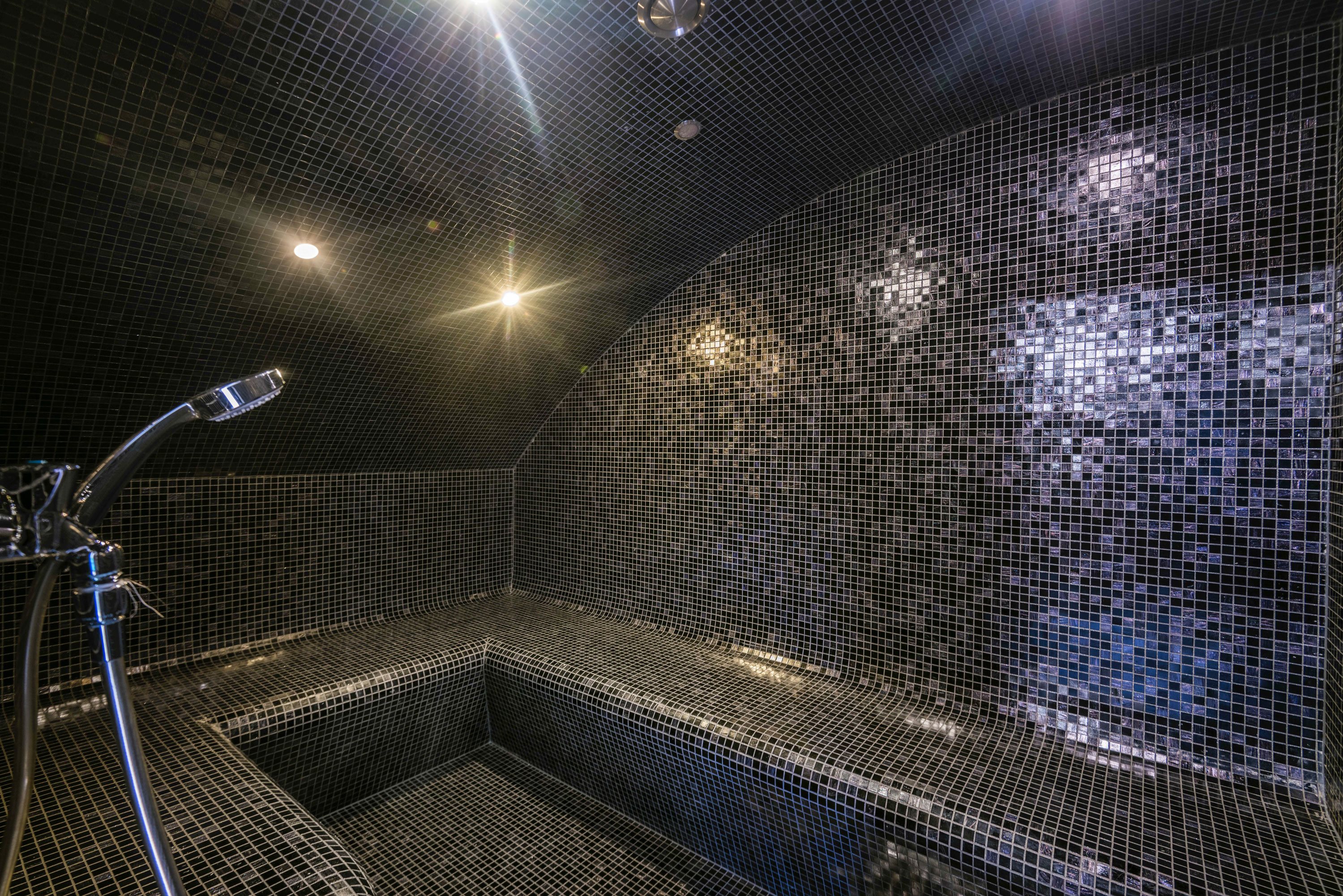 Room with shower and black tiles