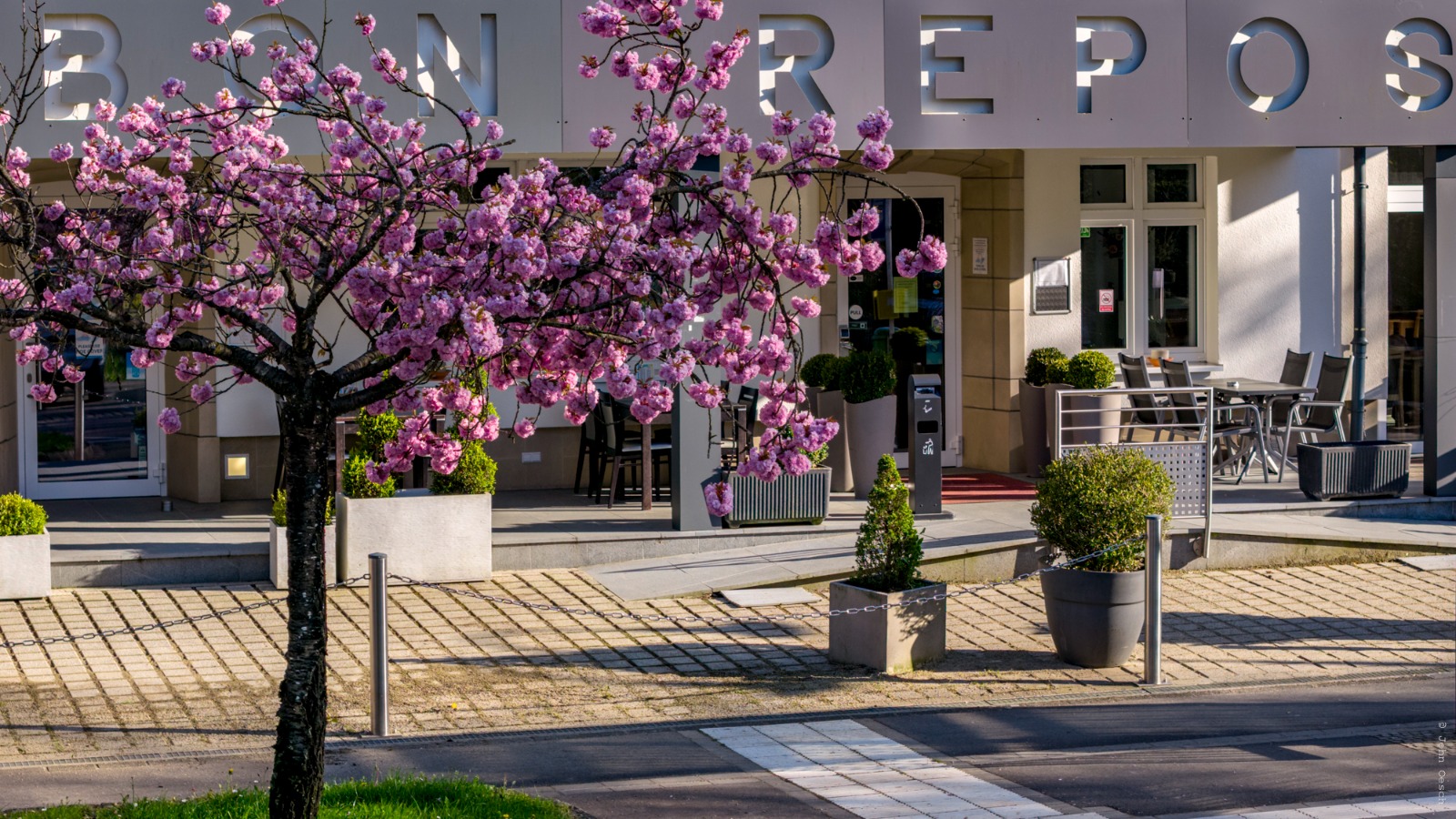 Enseigne Bon Repos sous les cerisiers