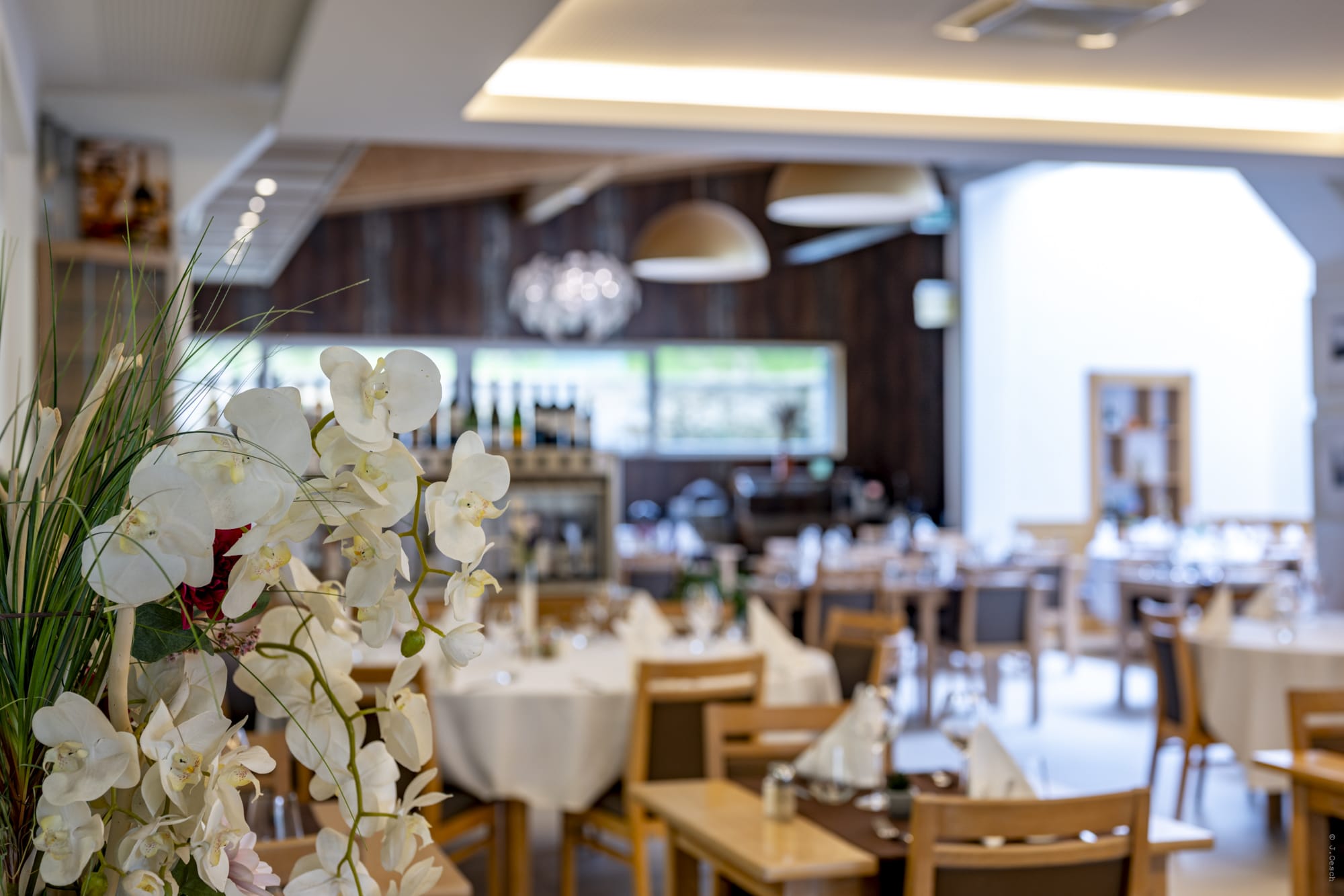 Salle élégante avec orchidées blanches