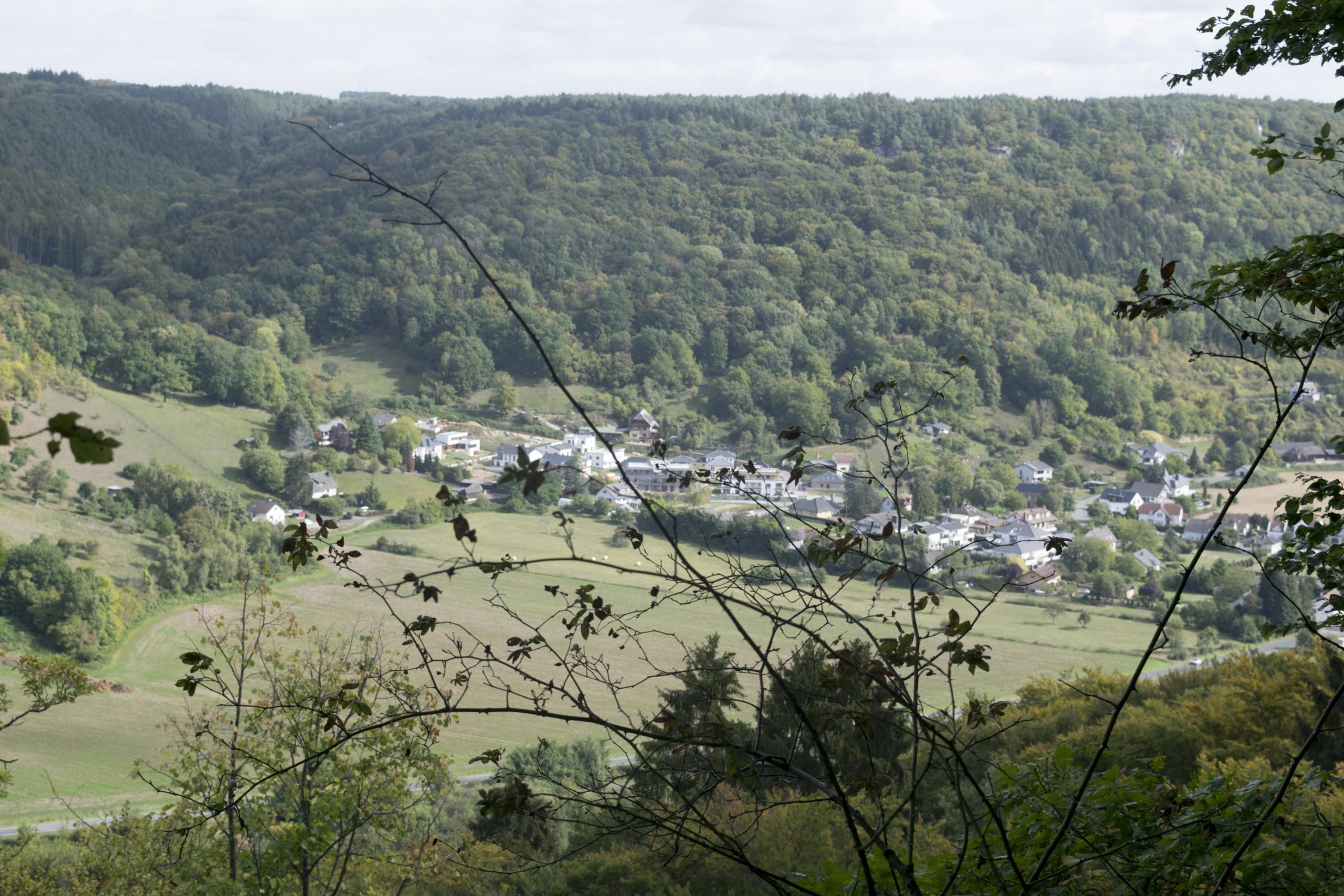 Mullerthal landscape
